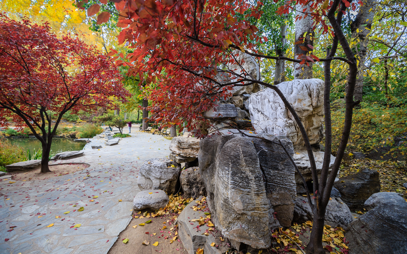 校友-赵力 (4).jpg