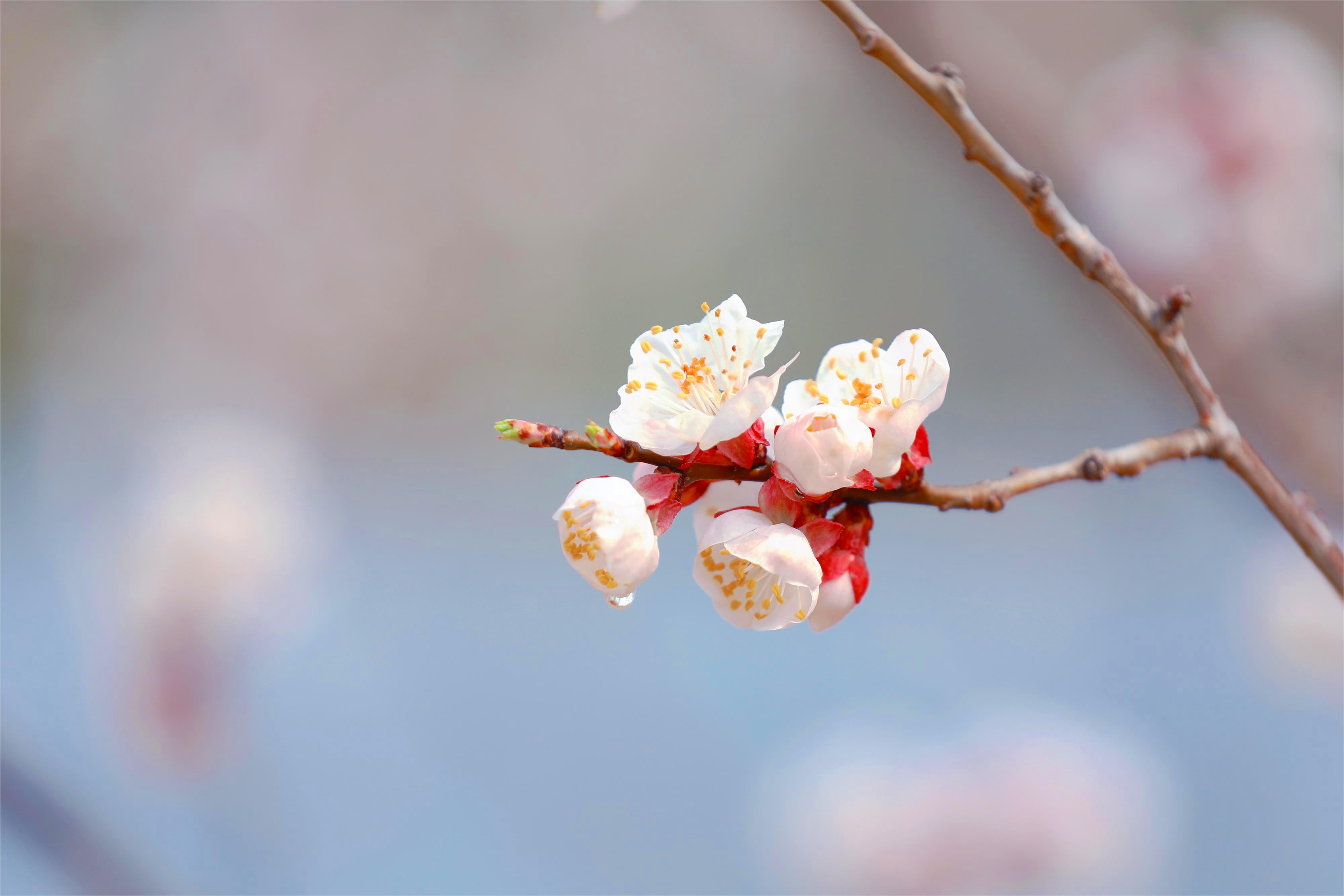 2023-03-20 145615.jpg